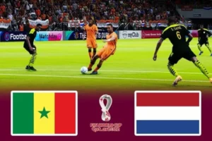 Soi kèo bảng A World Cup: Senegal vs Hà Lan