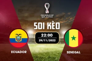 Soi kèo bảng A World Cup: Ecuador vs Senegal