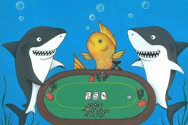 Fish trong Poker nghĩa là gì?