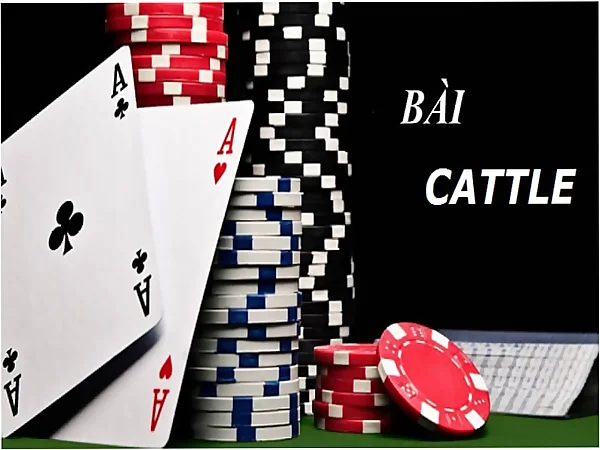 Bật mí một vài mẹo chơi game bài Catte giúp nâng cao cơ hội thắng.
