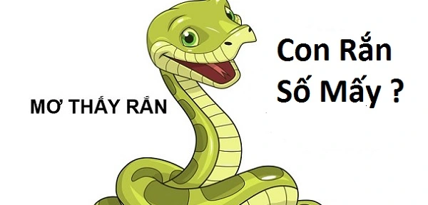Chiêm bao thấy rắn nên đánh đề số mấy?