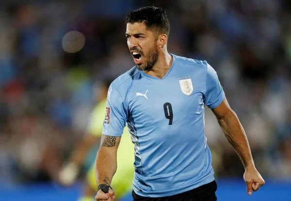 Đây có thể coi là mùa World Cup cuối cùng của Luis Suarez trong màu áo Uruguay
