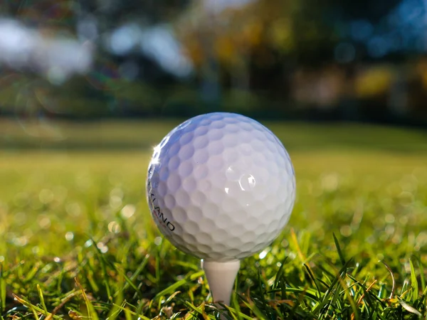 Bóng golf được cấu tạo như thế nào?