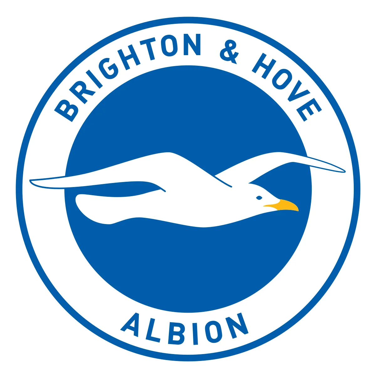 Huy hiệu của CLB Brighton