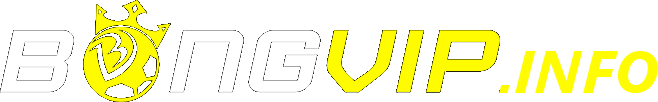Logo BONGVIP
