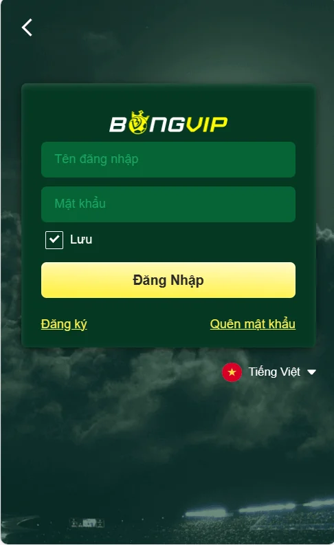 Điền form đăng nhập BONGVIP theo thông tin đã đăng ký
